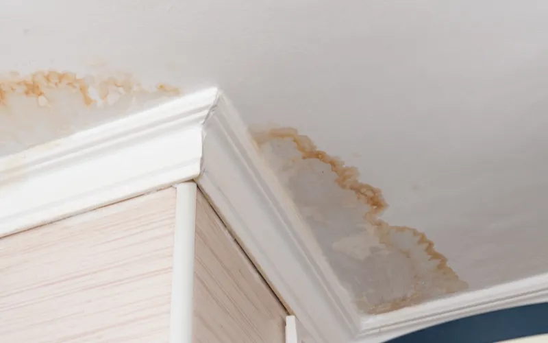 Water stain on a ceiling